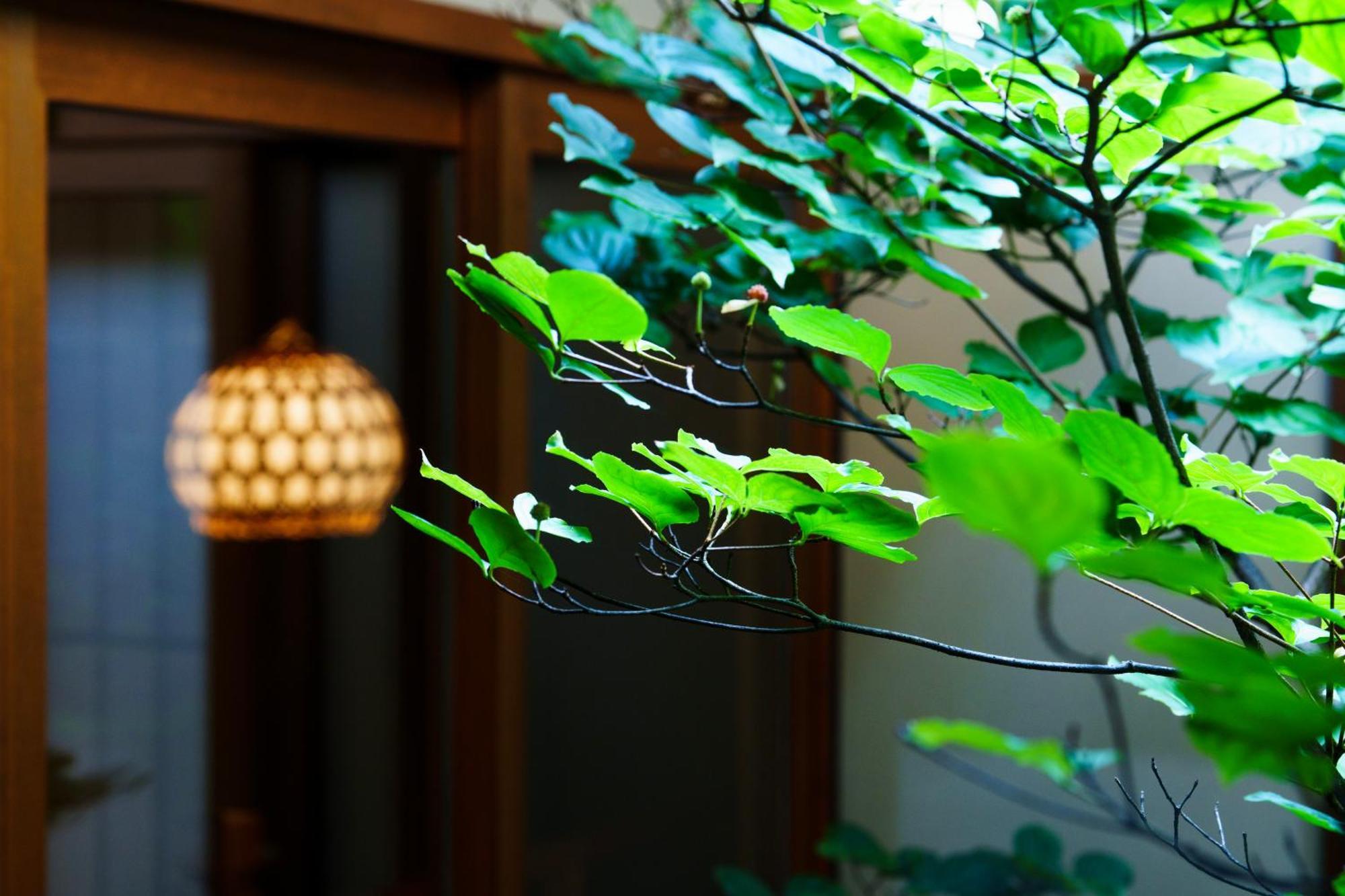 Hotori Villa Киото Екстериор снимка